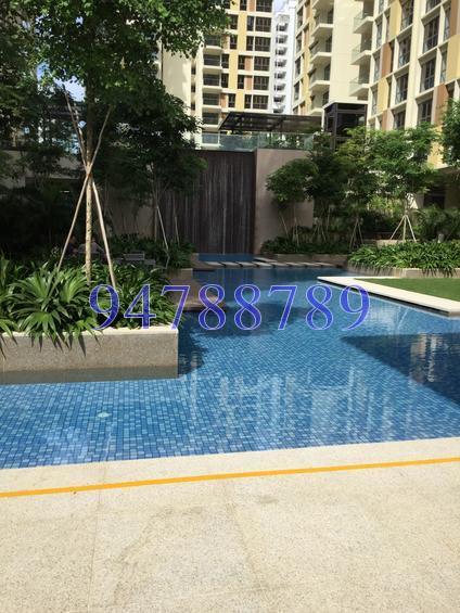Terrasse (D19), Condominium #151881312